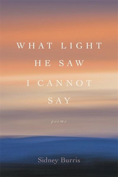 What Light He Saw I Cannot Say (eBook, ePUB)