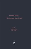 The American Court System (eBook, PDF)