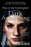 Dark Awakening (Rise Of The Dark-Lighter, #1) (eBook, ePUB)