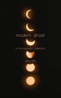 Modern Ghost (eBook, ePUB) - Ellis, Amy