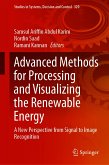 Advanced Methods for Processing and Visualizing the Renewable Energy (eBook, PDF)