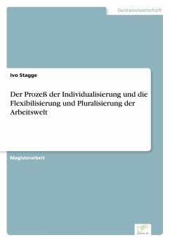 Der Prozeß der Individualisierung und die Flexibilisierung und Pluralisierung der Arbeitswelt - Stagge, Ivo