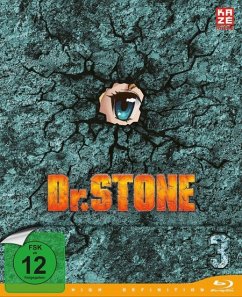 Dr. Stone