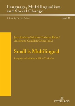 Small is Multilingual