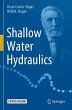 Shallow Water Hydraulics - Bild 1