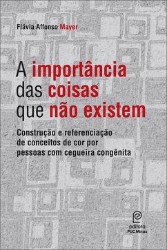 A importância das coisas que não existem (eBook, ePUB) - Mayer, Flávia Affonso