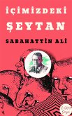 Içimizdeki Seytan (eBook, ePUB)