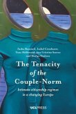 The Tenacity of the Couple-Norm (eBook, ePUB)