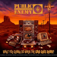 What You Gonna Do When The Grid Goes Down (Vinyl) - Public Enemy