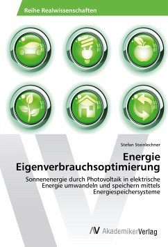 Energie Eigenverbrauchsoptimierung - Steinlechner, Stefan