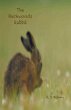 The Backwoods Rabbit - Bild 1