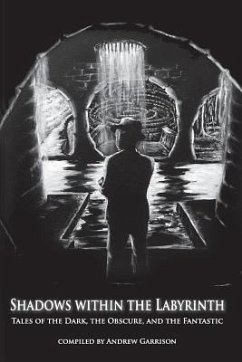 Shadows Within the Labyrinth: Tales of the Dark, the Obscure, and the Fantastic - Garrison, Andrew; Devellis, C. Vincent; Rich, B. L.