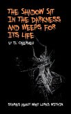 The Shadow Sits In The Darkness And Weeps For It Life (The Shadow Codex, #2) (eBook, ePUB)
