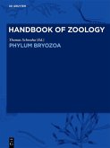 Phylum Bryozoa (eBook, ePUB)