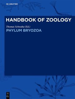 Cover Phylum Bryozoa (eBook, ePUB)