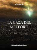 La caza del meteoro (eBook, ePUB)