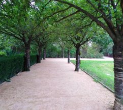 Cover Corona? Geht doch mich und meine Freunde nichts an.... oder doch? (eBook, ePUB)