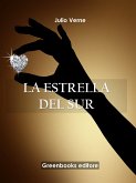 La estrella del sur (eBook, ePUB)