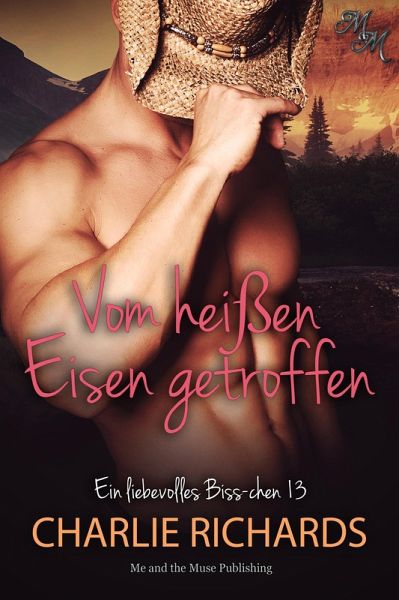 Vom heißen Eisen getroffen (eBook, ePUB)