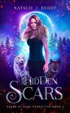 Hidden Scars (Scars of Days Forgotten Series, #2) (eBook, ePUB)