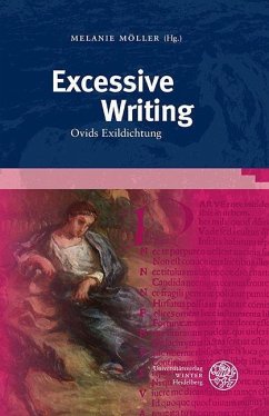 Excessive Writing (eBook, PDF)