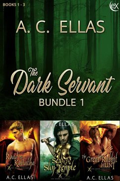 Cover The Dark Servant Bundle 1 (eBook, ePUB)