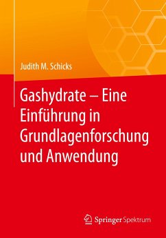 Gashydrate ¿ Eine Einführung in Grundlagenforschung und Anwendung - Schicks, Judith M.