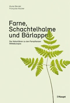 Farne, Schachtelhalme und Bärlappe - Bendel, Muriel;Alsaker, Françoise