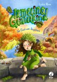 Der Fluch vom Ringelbach / Irmelina Geisterkind Bd.2 Der Fluch vom Ringelbach / Irmelina Geisterkind Bd.2