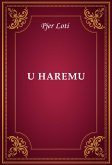 U haremu (eBook, ePUB)