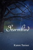 Stormbird (eBook, ePUB)