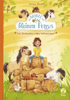 Die Schule der kleinen Ponys - Ein Heuhaufen voller Geheimnisse (eBook, ePUB) - Wolff, Anne