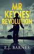 Mr Keynes' Revolution (eBook, ePUB) - Bild 1