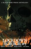 Lockdown Horror #3 (eBook, ePUB)