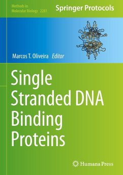 Single Stranded DNA Binding Proteins