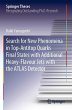 Search for New Phenomena in Top-Antitop... - Bild 1