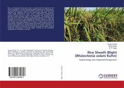 Rice Sheath Blight (Rhizoctonia solani Kuhn)