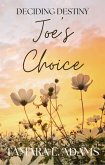 Deciding Destiny: Joe's Choice (eBook, ePUB)