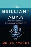 The Brilliant Abyss (eBook, ePUB) The Brilliant Abyss (eBook, ePUB)