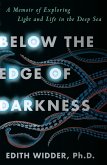 Below the Edge of Darkness (eBook, ePUB)