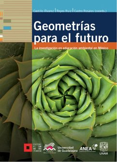 Geometrías para el futuro (eBook, ePUB) - Castillo Álvarez, Alicia; Hernández Corona, Norma Araceli; Castillo Álvarez, Alicia; Romero Cuevas, Rosa María; Razo Horta, Carlos; Reyes de Escutia, Felipe Jesús; García Campos, Helio Manuel; Franco Toriz, Verónica; González Albarracín, Carolina María; Olguín Puch, María Karina; Cendejas Guízar, Josefina María; Reyes Ruiz, Francisco Javier; Villaseñor Gómez, Laura Eugenia; Castro Rosales, Elba Aurora; Nieto Caraveo, Luz María; Buendía Oliva, Mariana; Gómez Olivo, Beatriz Lili