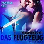 Verbotene Orte: Das Flugzeug - Erotische Novelle (MP3-Download)