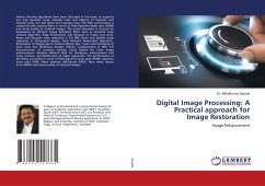 Digital Image Processing: A Practical approach for Image Restoration