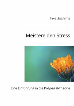 Meistere den Stress - Jochims, Inke