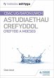 Fy Nodiadau Adolygu: CBAC Safon Uwch... - Bild 1