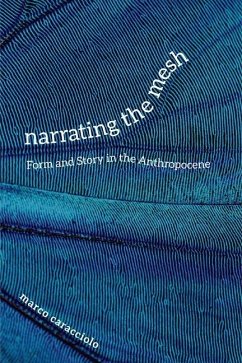 Narrating the Mesh (eBook, ePUB) - Caracciolo, Marco