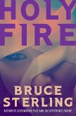 Holy Fire (eBook, ePUB) Holy Fire (eBook, ePUB)