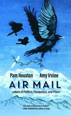Air Mail (eBook, ePUB) - Houston, Pam; Irvine, Amy