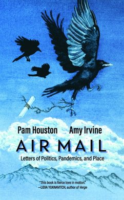 Cover Air Mail (eBook, ePUB)