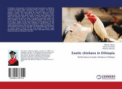 Exotic chickens in Ethiopia